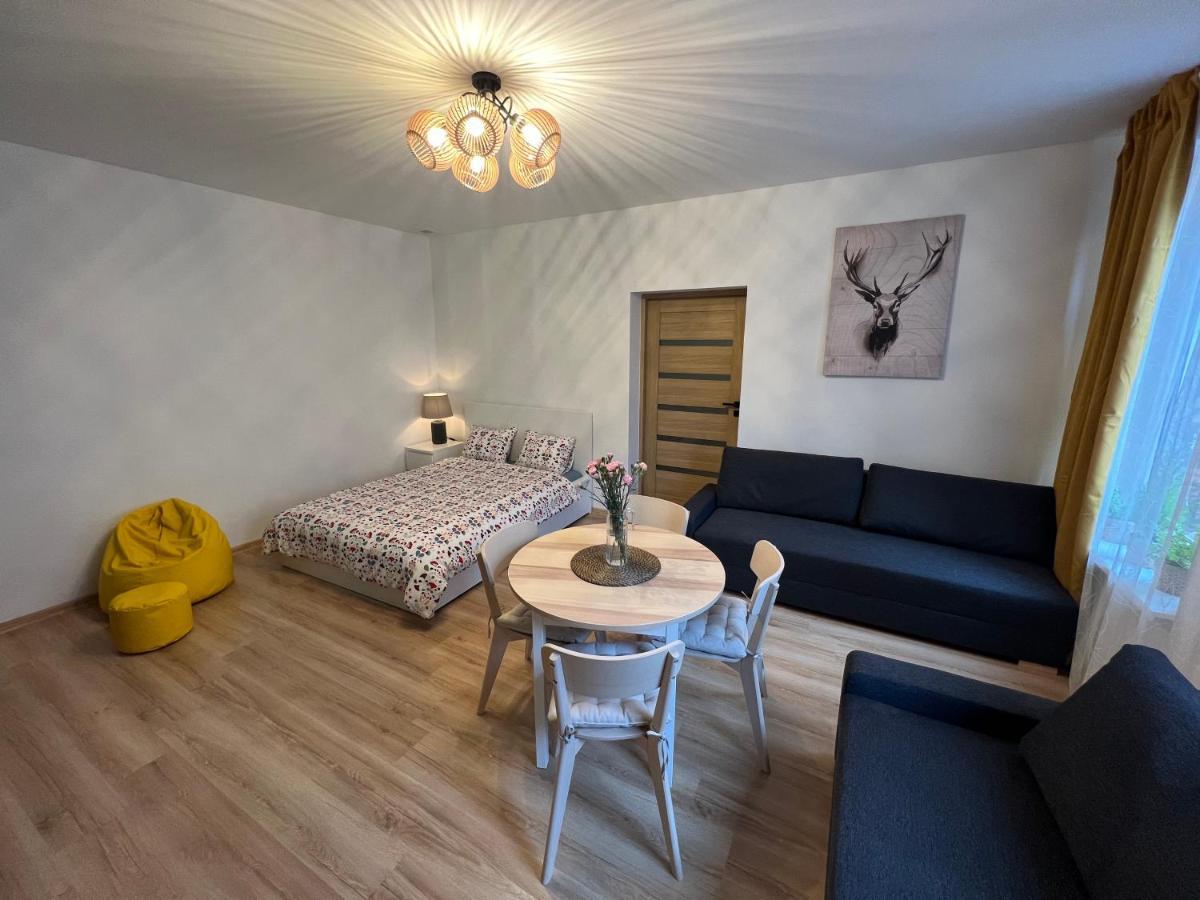 Wood Apartment カトヴィツェ エクステリア 写真